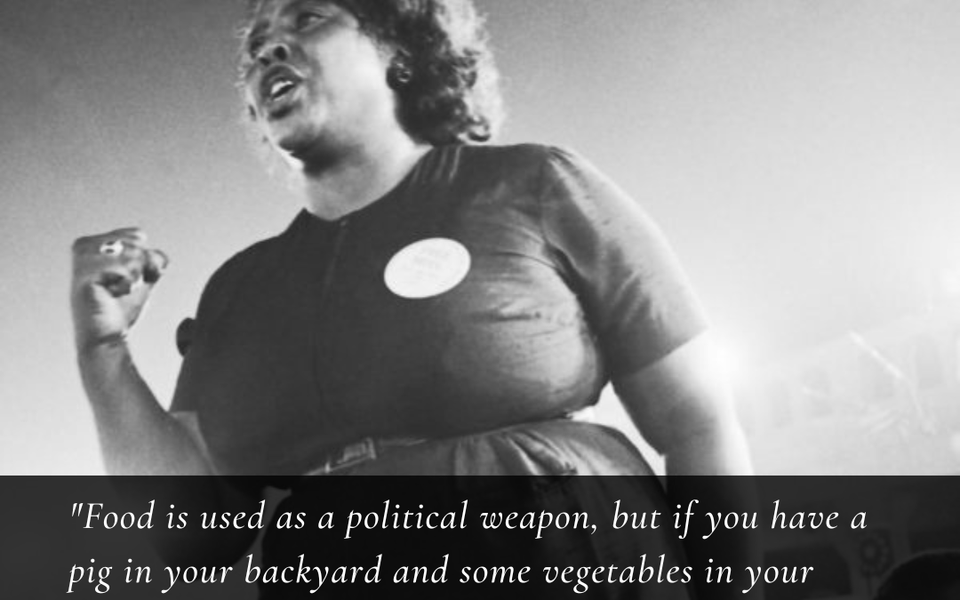 Fannie Lou Hamer: Food Is Used As A Political Weapon