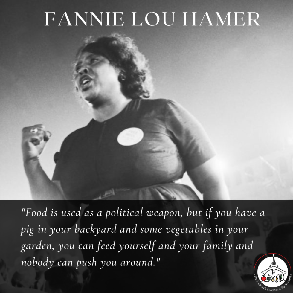 Fannie Lou Hamer: Food Is Used As A Political Weapon - Black Church ...